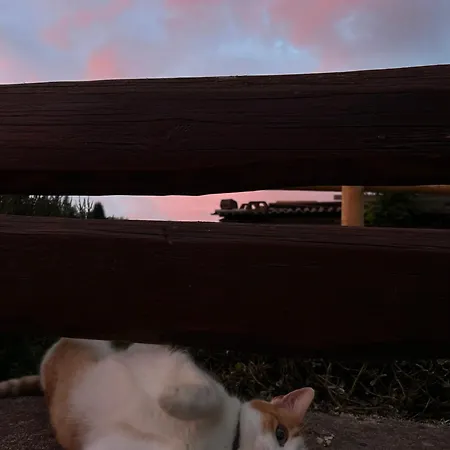 Na Samote U Lesa Apartament *