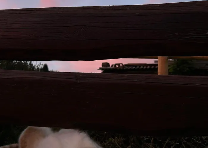 Na Samote U Lesa Apartamento *