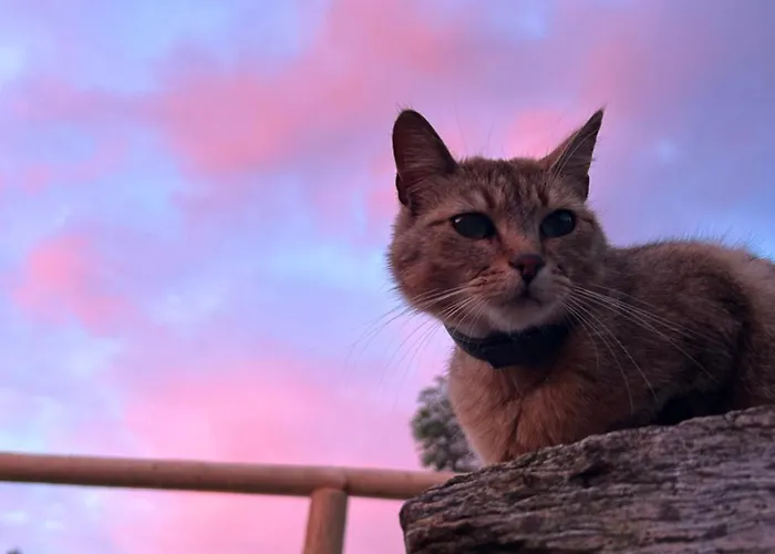 Apartamento Na Samote U Lesa Žamberk