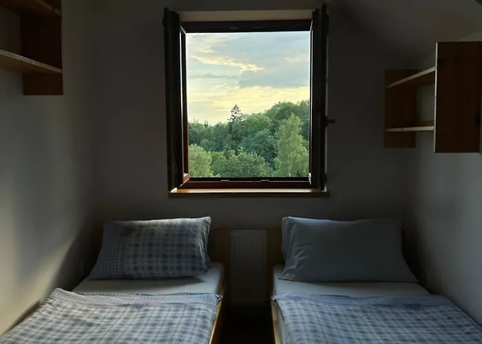 Na Samote U Lesa * Žamberk