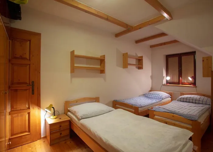 Na Samote U Lesa * Žamberk